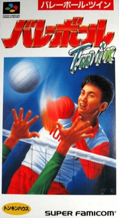 Dig & Spike Volleyball cover