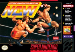 Natsume Championship Wrestling cover