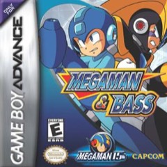 Mega Man & Bass cover
