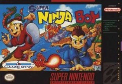 Super Ninja Boy cover